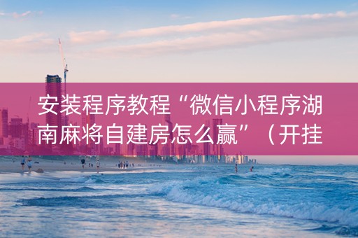 安装程序教程“微信小程序湖南麻将自建房怎么赢”（开挂辅助插件)