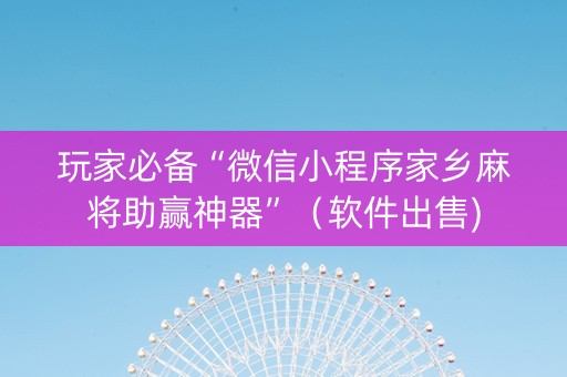 玩家必备“微信小程序家乡麻将助赢神器”（软件出售)