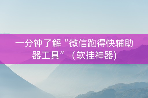 一分钟了解“微信跑得快辅助器工具”（软挂神器)