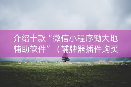 介绍十款“微信小程序锄大地辅助软件”（辅牌器插件购买)