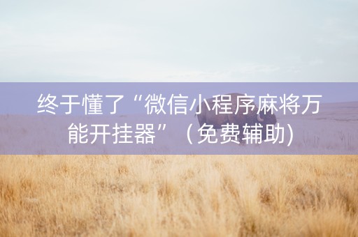 终于懂了“微信小程序麻将万能开挂器”（免费辅助)