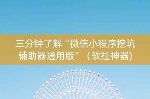 三分钟了解“微信小程序挖坑辅助器通用版”（软挂神器)