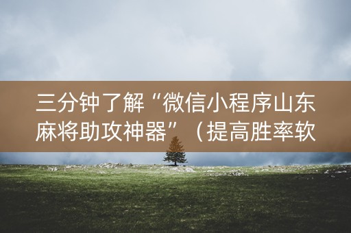 三分钟了解“微信小程序山东麻将助攻神器”（提高胜率软件)
