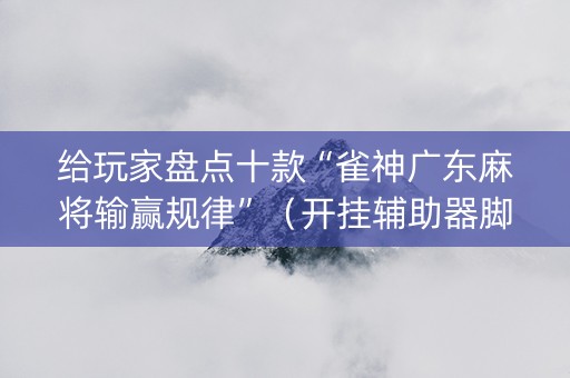 给玩家盘点十款“雀神广东麻将输赢规律”（开挂辅助器脚本)
