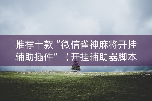 推荐十款“微信雀神麻将开挂辅助插件”（开挂辅助器脚本)