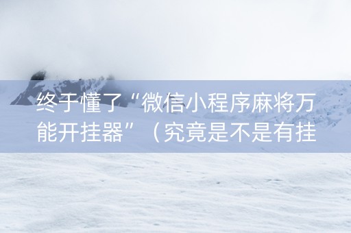 终于懂了“微信小程序麻将万能开挂器”（究竟是不是有挂)