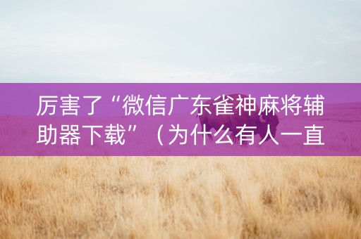 厉害了“微信广东雀神麻将辅助器下载”（为什么有人一直赢)
