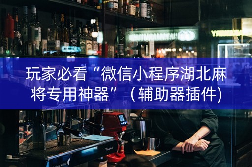 玩家必看“微信小程序湖北麻将专用神器”（辅助器插件)