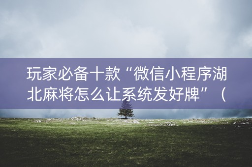 玩家必备十款“微信小程序湖北麻将怎么让系统发好牌”（确实有插件吗)