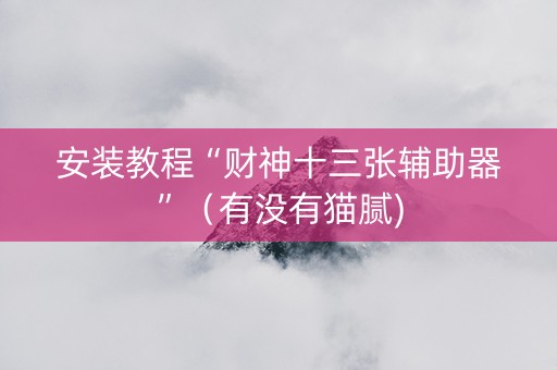安装教程“财神十三张辅助器”（有没有猫腻)