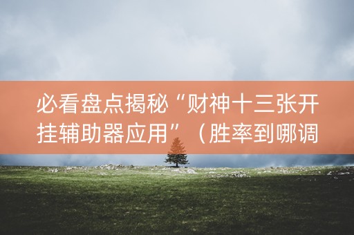 必看盘点揭秘“财神十三张开挂辅助器应用”（胜率到哪调)