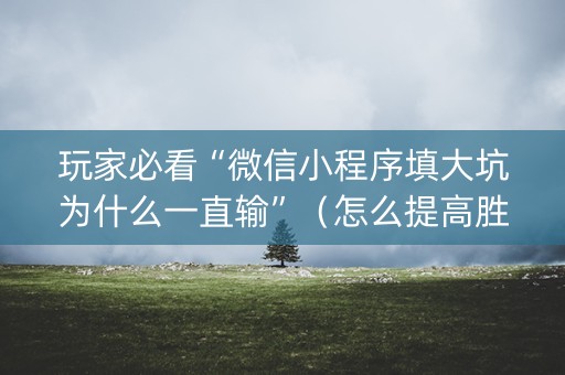 玩家必看“微信小程序填大坑为什么一直输”（怎么提高胜率)