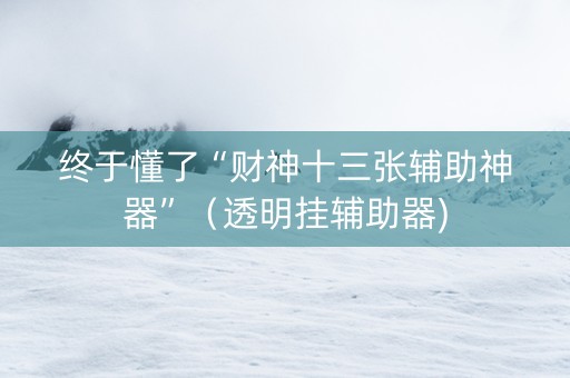 终于懂了“财神十三张辅助神器”（透明挂辅助器)