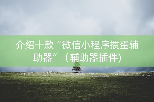 介绍十款“微信小程序掼蛋辅助器”（辅助器插件)