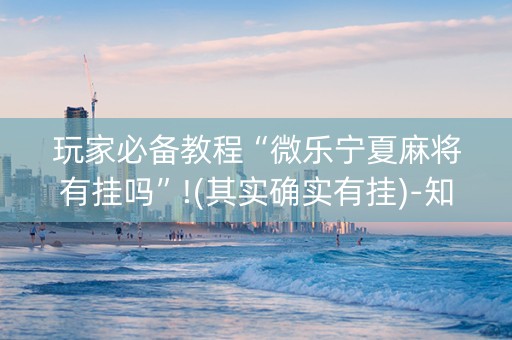 玩家必备教程“微乐宁夏麻将有挂吗”!(其实确实有挂)-知乎