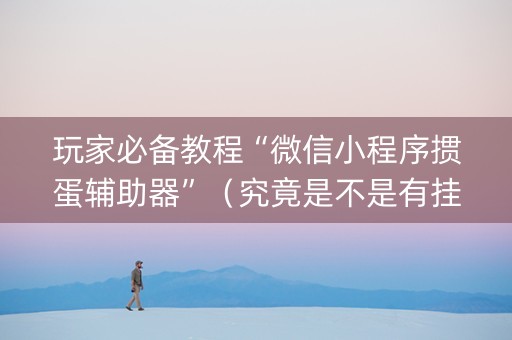 玩家必备教程“微信小程序掼蛋辅助器”（究竟是不是有挂)