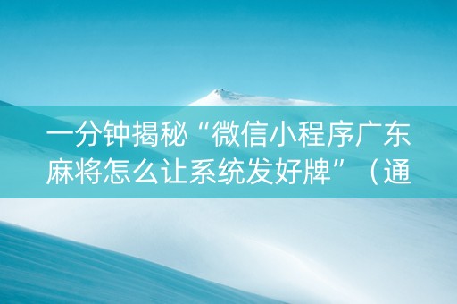 一分钟揭秘“微信小程序广东麻将怎么让系统发好牌”（通用挂软件多少钱)
