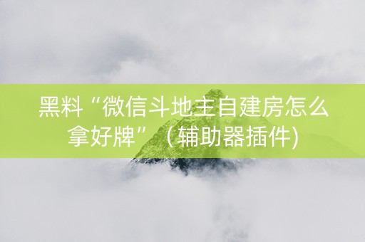 黑料“微信斗地主自建房怎么拿好牌”（辅助器插件)
