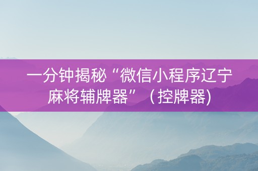 一分钟揭秘“微信小程序辽宁麻将辅牌器”（控牌器)
