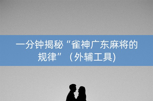 一分钟揭秘“雀神广东麻将的规律”（外辅工具)