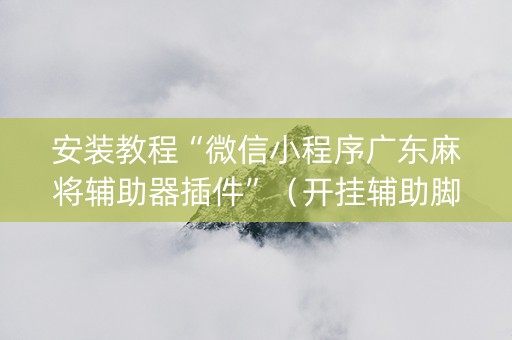 安装教程“微信小程序广东麻将辅助器插件”（开挂辅助脚本)