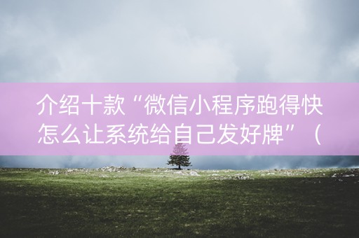 介绍十款“微信小程序跑得快怎么让系统给自己发好牌”（控牌神器)
