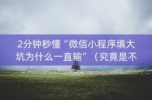 2分钟秒懂“微信小程序填大坑为什么一直输”（究竟是不是有挂)
