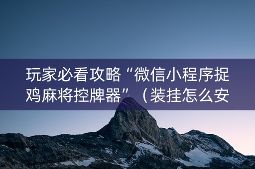 玩家必看攻略“微信小程序捉鸡麻将控牌器”（装挂怎么安装)