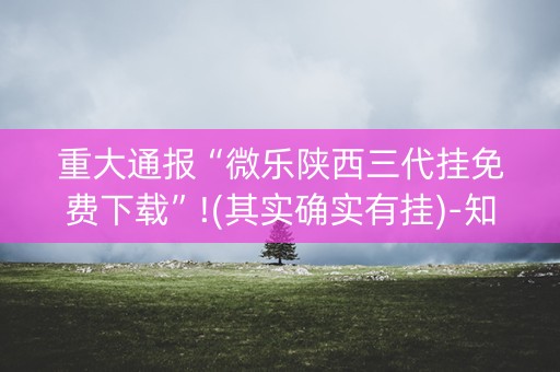 重大通报“微乐陕西三代挂免费下载”!(其实确实有挂)-知乎