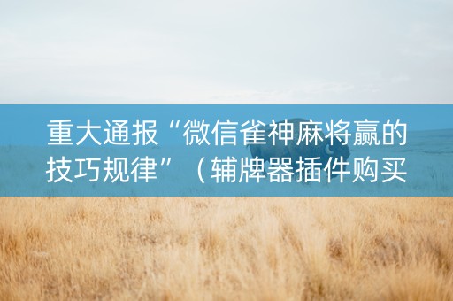 重大通报“微信雀神麻将赢的技巧规律”（辅牌器插件购买)