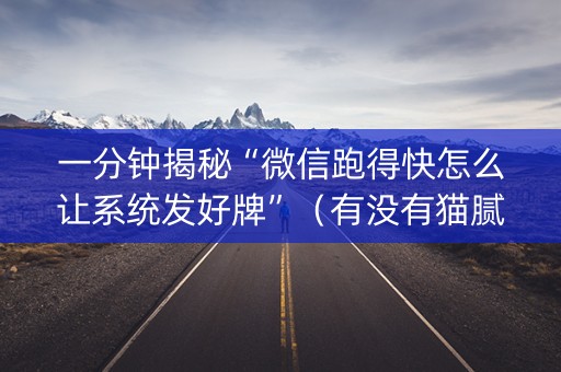 一分钟揭秘“微信跑得快怎么让系统发好牌”（有没有猫腻)