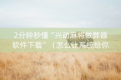 2分钟秒懂“兴动麻将做弊器软件下载”（怎么让系统给你发好牌)