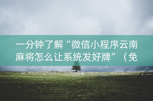 一分钟了解“微信小程序云南麻将怎么让系统发好牌”（免费专用神器)
