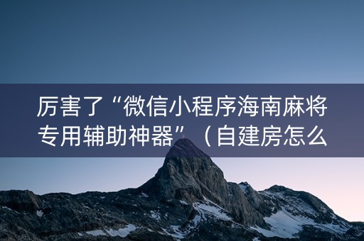 厉害了“微信小程序海南麻将专用辅助神器”（自建房怎么拿好牌)