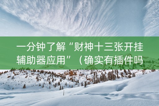 一分钟了解“财神十三张开挂辅助器应用”（确实有插件吗)