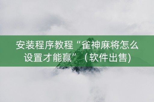 安装程序教程“雀神麻将怎么设置才能赢”（软件出售)
