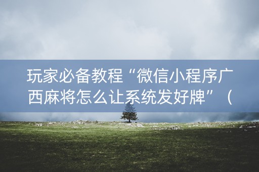 玩家必备教程“微信小程序广西麻将怎么让系统发好牌”（控牌器)
