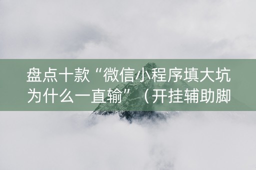 盘点十款“微信小程序填大坑为什么一直输”（开挂辅助脚本)