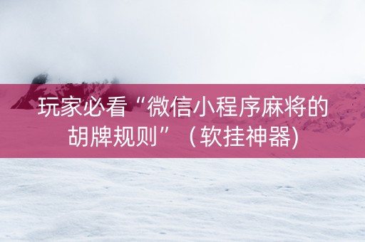 玩家必看“微信小程序麻将的胡牌规则”（软挂神器)