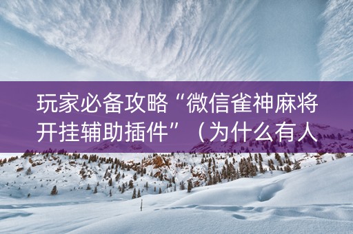 玩家必备攻略“微信雀神麻将开挂辅助插件”（为什么有人一直赢)