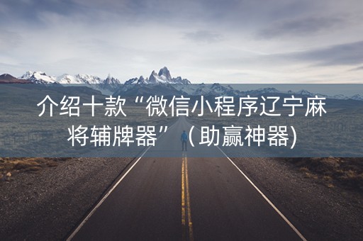 介绍十款“微信小程序辽宁麻将辅牌器”（助赢神器)
