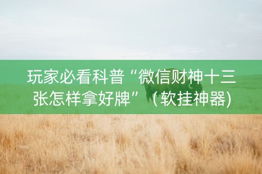 玩家必看科普“微信财神十三张怎样拿好牌”（软挂神器)