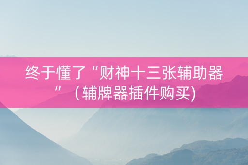 终于懂了“财神十三张辅助器”（辅牌器插件购买)