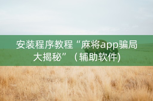 安装程序教程“麻将app骗局大揭秘”（辅助软件)