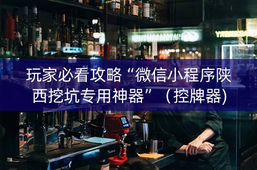 玩家必看攻略“微信小程序陕西挖坑专用神器”（控牌器)