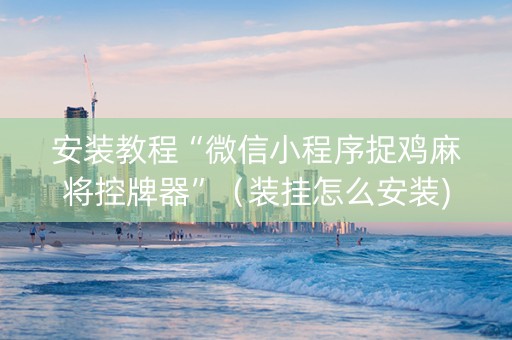 安装教程“微信小程序捉鸡麻将控牌器”（装挂怎么安装)