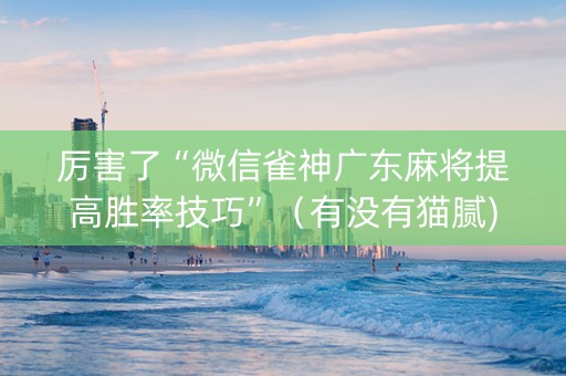 厉害了“微信雀神广东麻将提高胜率技巧”（有没有猫腻)