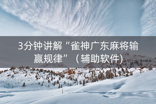 3分钟讲解“雀神广东麻将输赢规律”（辅助软件)