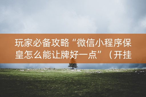 玩家必备攻略“微信小程序保皇怎么能让牌好一点”（开挂辅助插件)