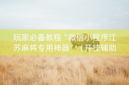玩家必备教程“微信小程序江苏麻将专用神器”（开挂辅助脚本)